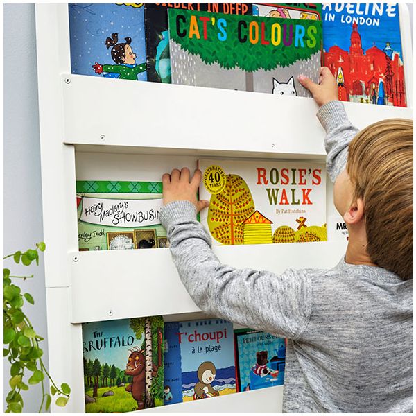 Tidy shop books bookcase