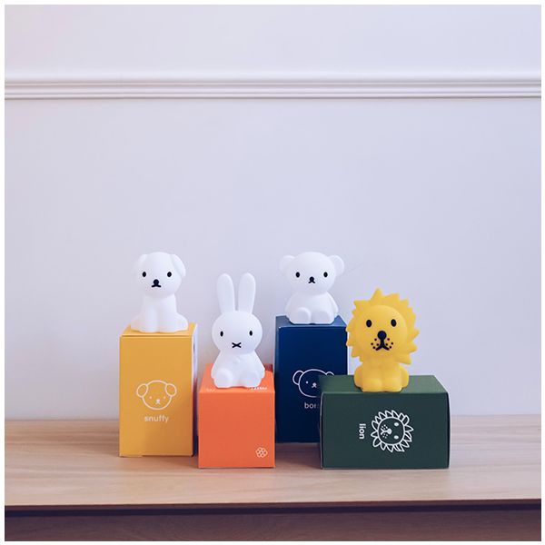 Mini Veilleuse Lion Bundle of Light