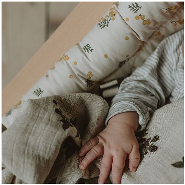 Transat Levo Hêtre & Mimosa