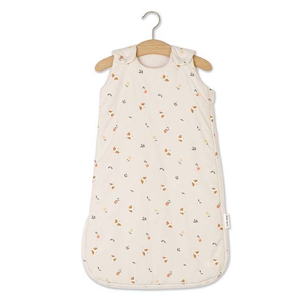 Gigoteuse d'hiver Wind - Oiseaux