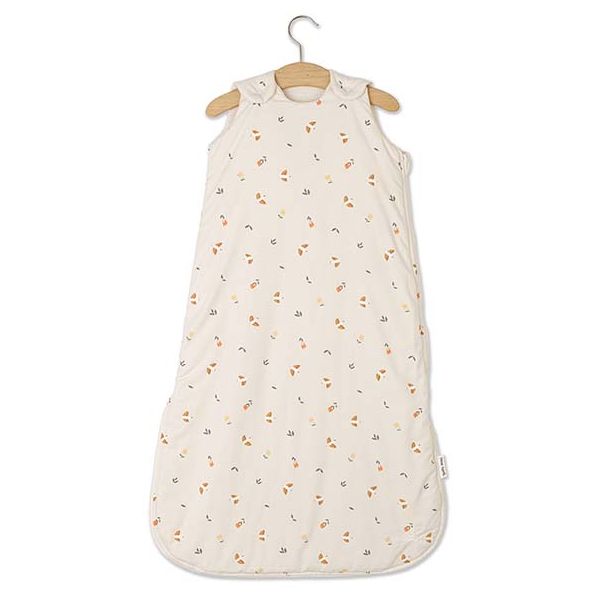 Gigoteuse d'hiver Wind - Oiseaux