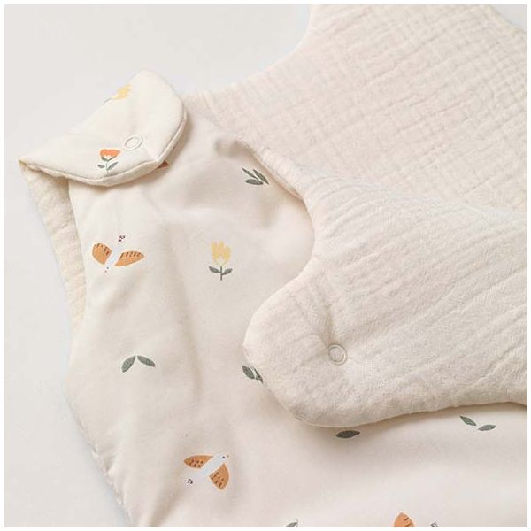 Gigoteuse d'hiver Wind - Oiseaux