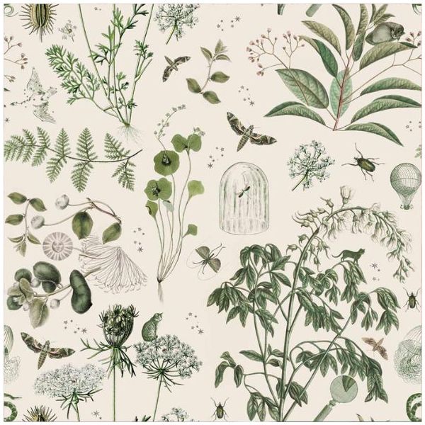 Papier peint Histoires Botaniques - Vert