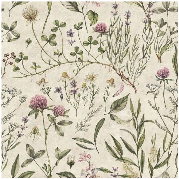 Papier peint Illustration Botanique - Vintage