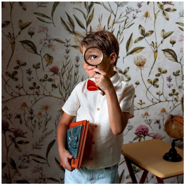 Papier peint Illustration Botanique - Vintage