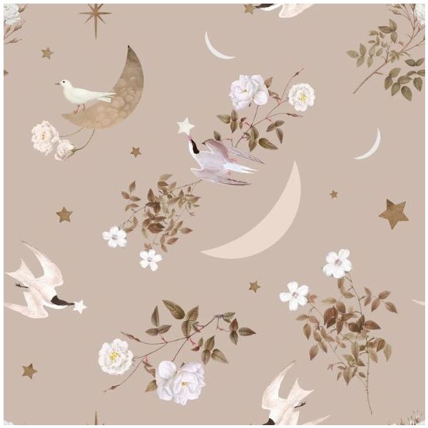 Papier peint Oiseaux dans le Ciel Nocturne