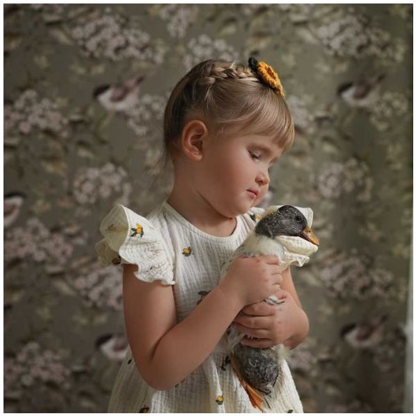 Papier peint Oiseaux & Printemps - Vert