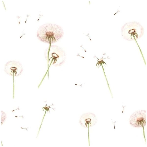 Papier peint Pissenlits