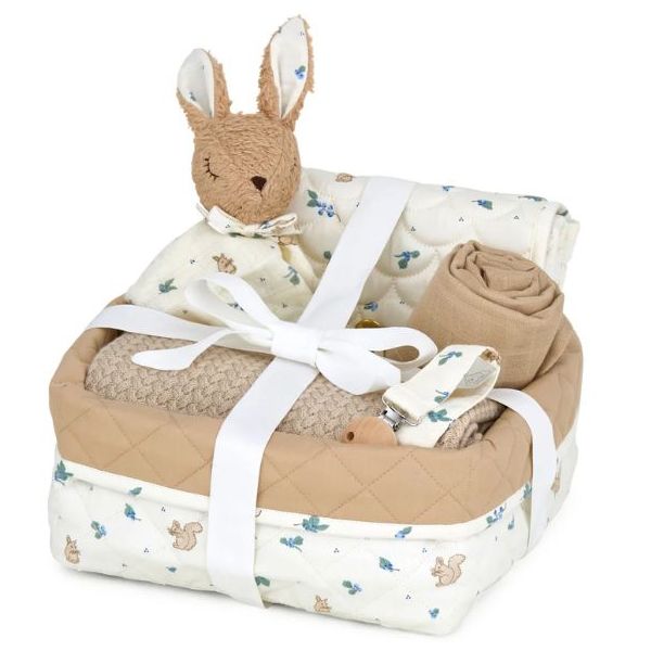 Baby Shower Hamper - Blueberries