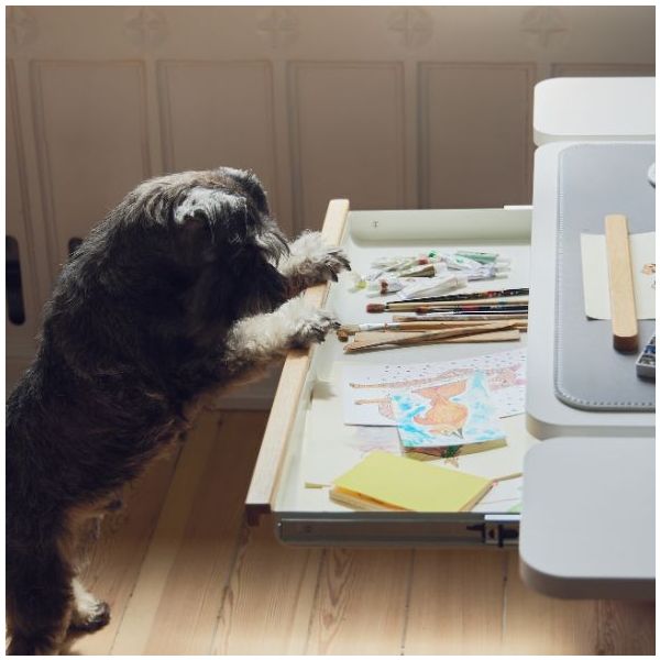 Drawer for Desks MOBY