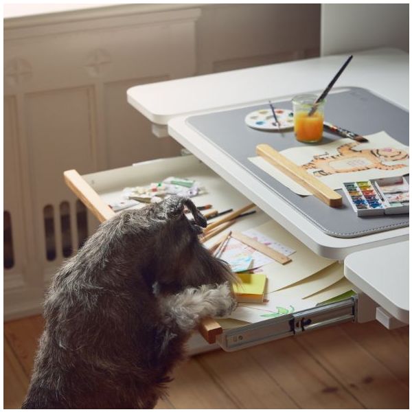 Desk MOBY - Middle Up