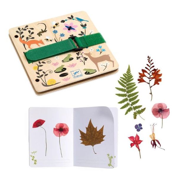 Presse à plantes et herbier - Botanique