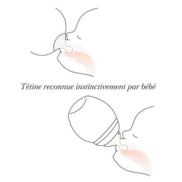 Set de 2 tétines - Débit Rapide (L)