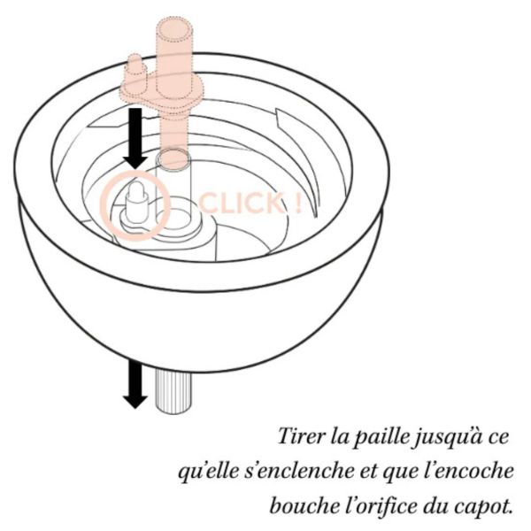 Coconut Weighted Straw Cup 240 ml - Graouu