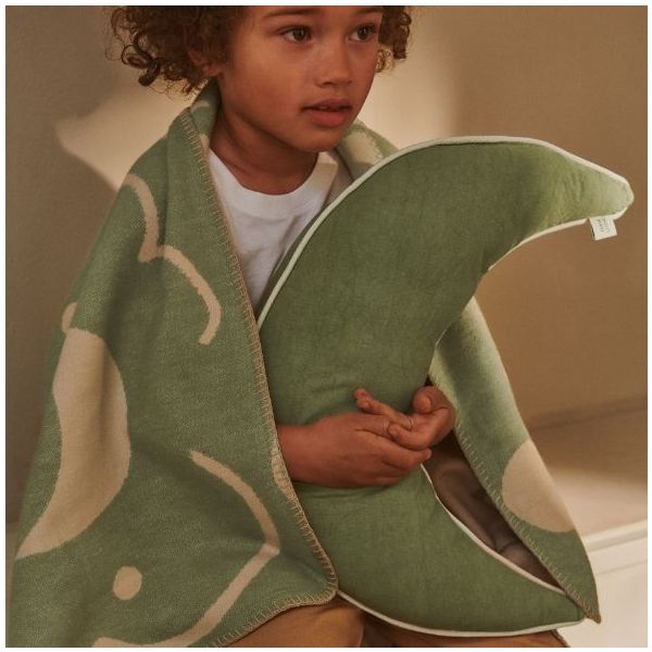 Coussin Lune - Vert Clair