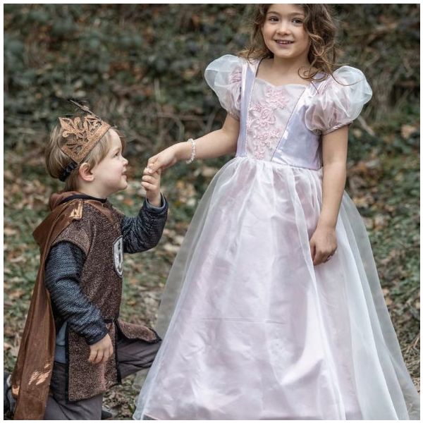 Déguisement robe de Princesse - Platine Rose