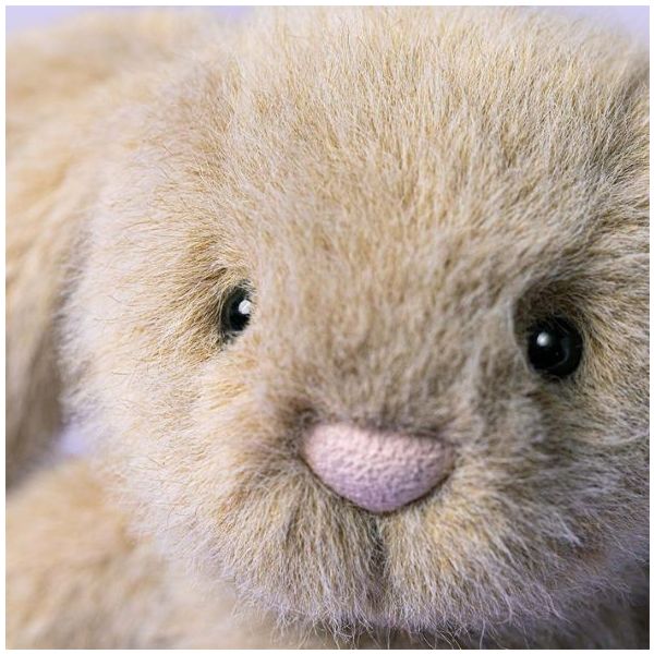 Oat Flufflet Bunny (18 cm)