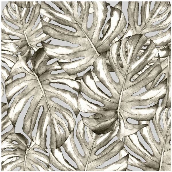 Papier Peint Jardin Botanique - Gris