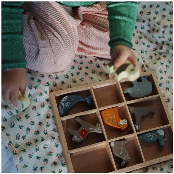 Set de 9 animaux en bois - Multi