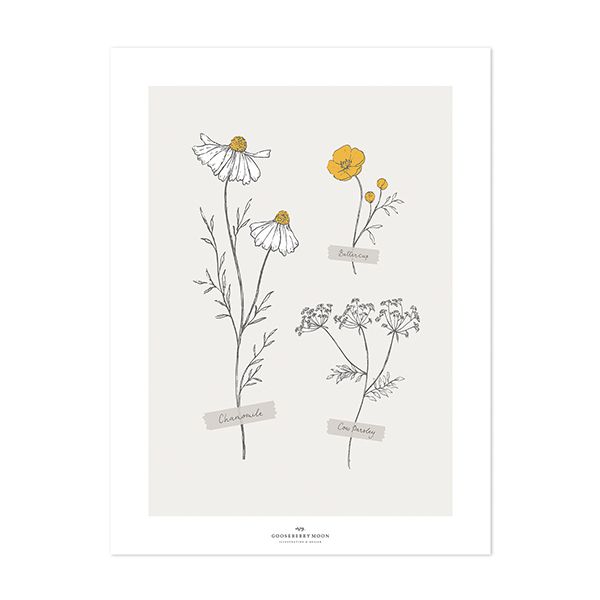 Affiche Camomille (30 x 40 cm)