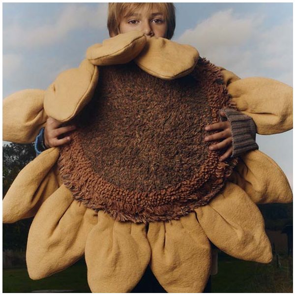 Coussin Tournesol