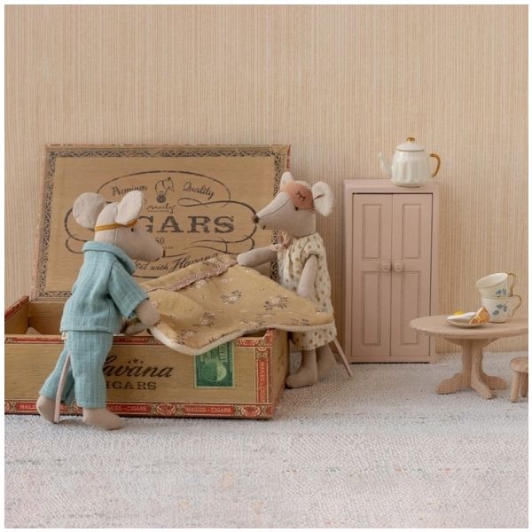 Papa & Maman Souris dans leur boîte à cigares