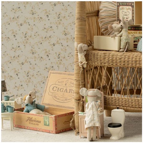 Petit frère Souris dans sa boîte assortie