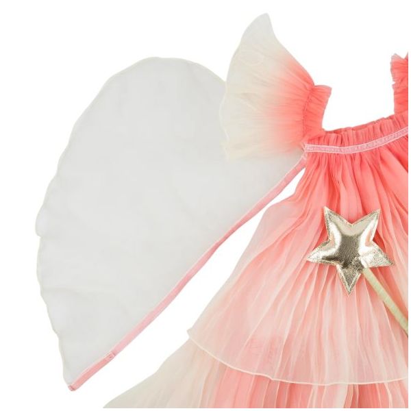 Déguisement de Fée - Rose