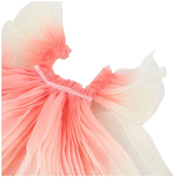 Déguisement de Fée - Rose