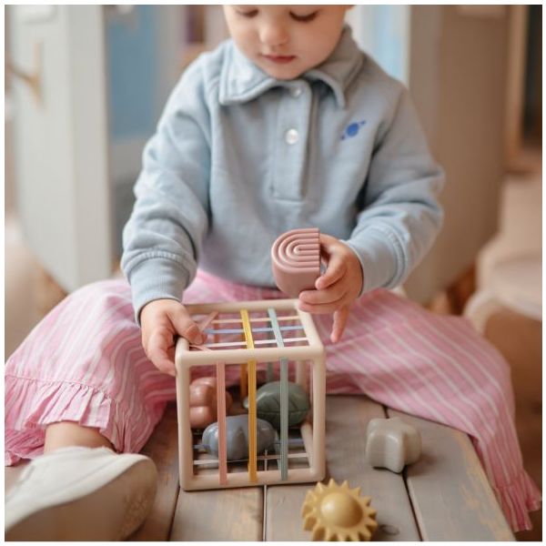 Elastische Sortierbox