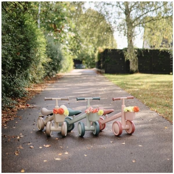 Draisienne Mini - Sauge