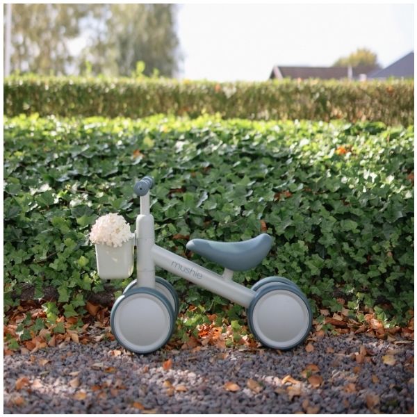 Draisienne Mini - Sauge