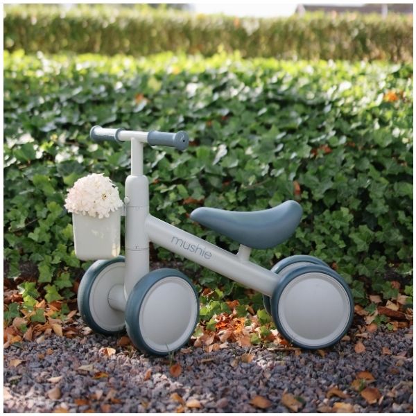 Draisienne Mini - Sauge