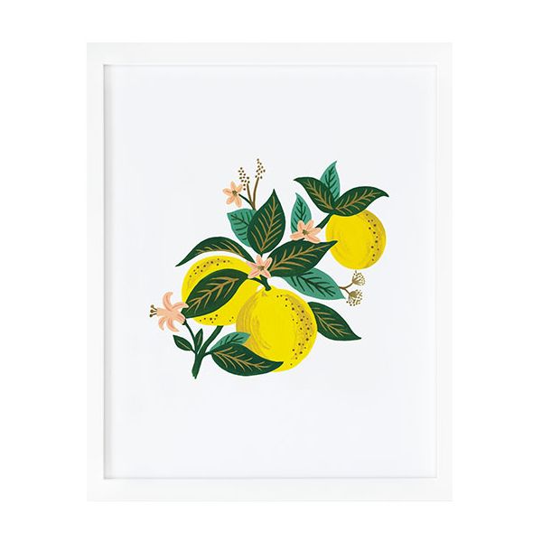 Affiche 40 x 50 cm - Lemon Blossom