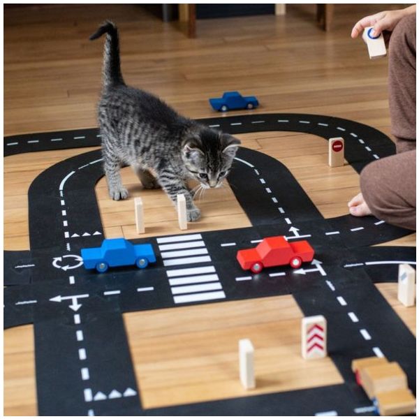 Flexible & Waterproof Toy Car Road - Cars Included - King of the Road (40 pieces)