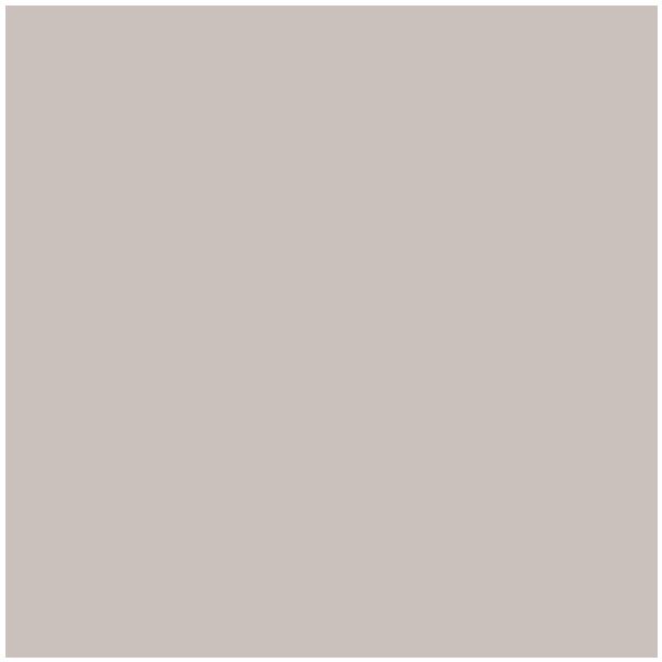 Desk Top for Basic Loft Bed 90 x 200 cm - Beech / Cashmere