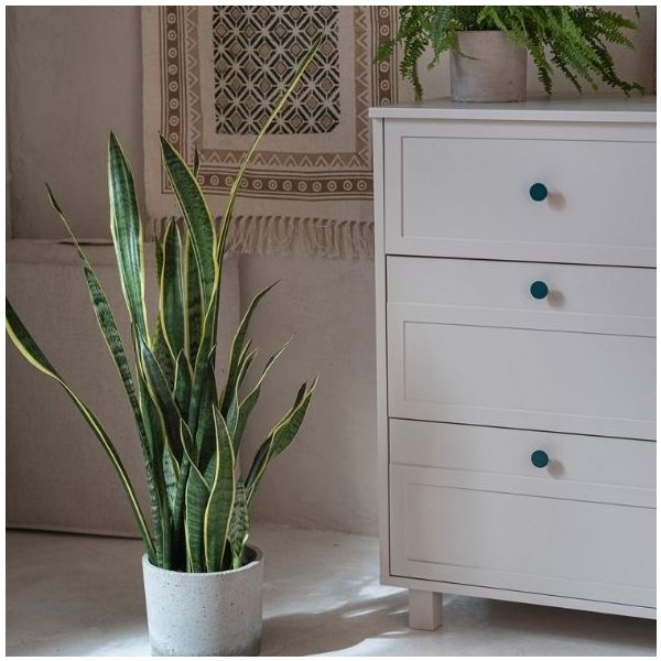 Commode Vintage - Cachemire