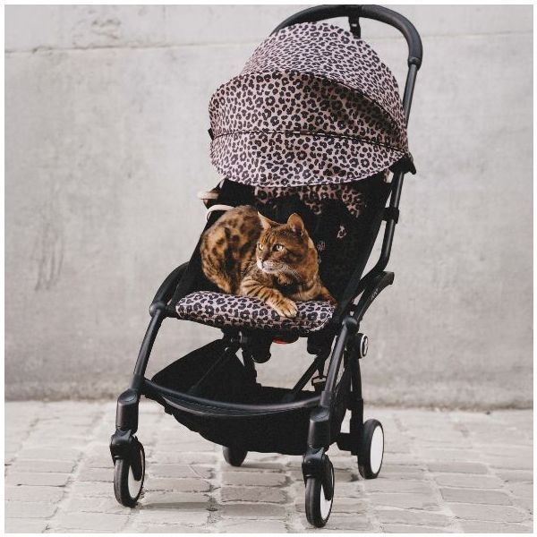 YOYO³ 6+ Stroller - Leopard - Frame color to choose