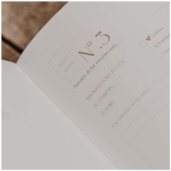 Livre de naissance - Pure Velours - Français