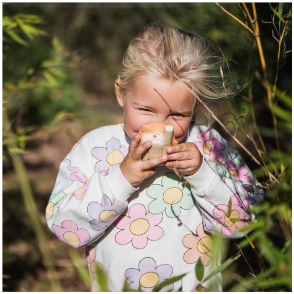 Talkie Walkie - Renard