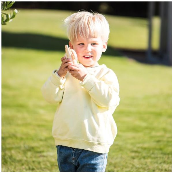 Talkie Walkie - Renard