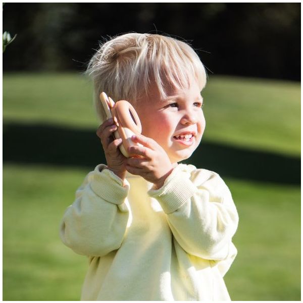 Talkie Walkie - Renard