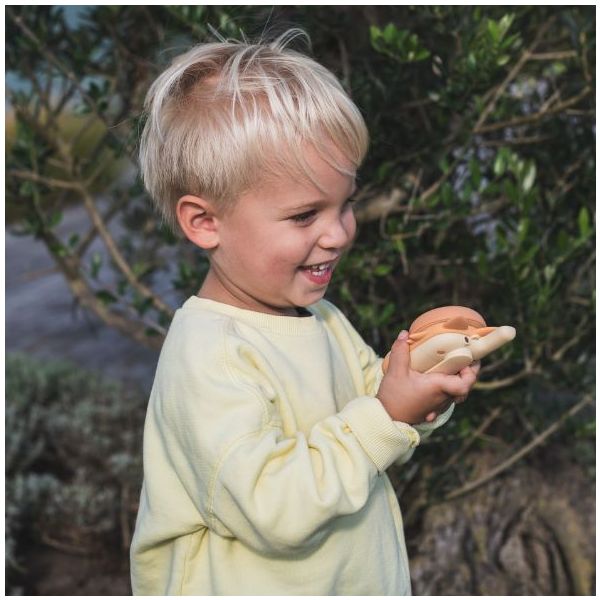 Talkie Walkie - Renard