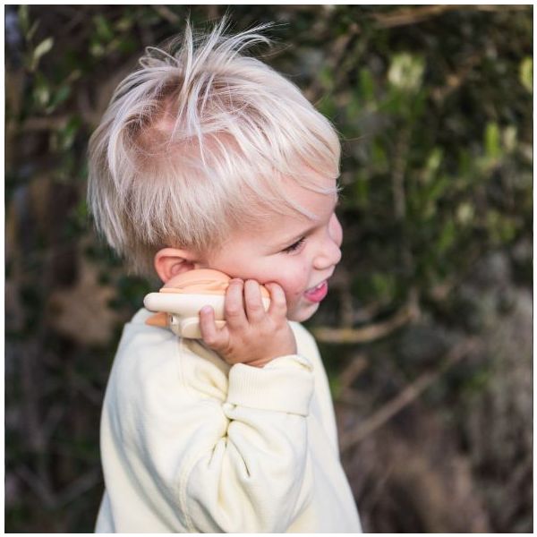 Talkie Walkie - Renard