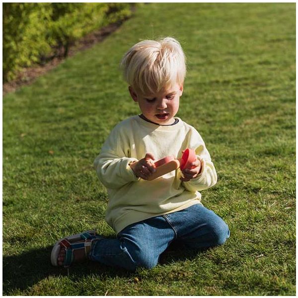 Appareil photo numérique Urban Zoo - Renard