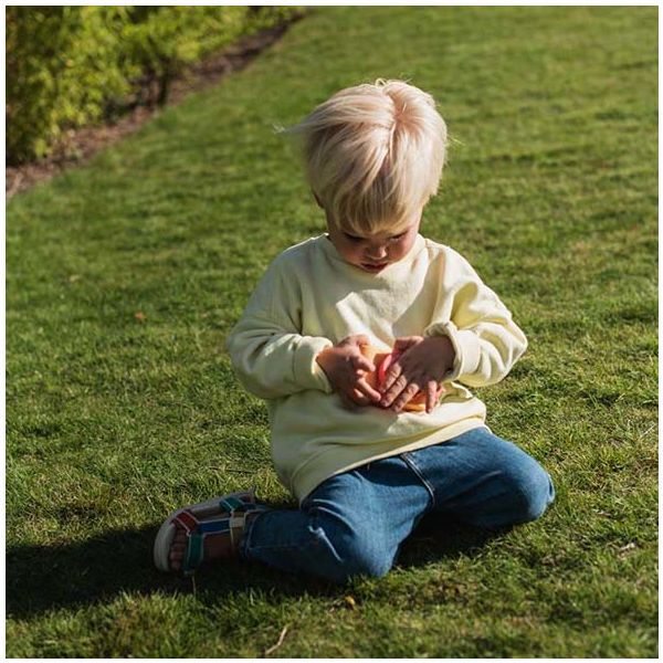 Appareil photo numérique Urban Zoo - Renard