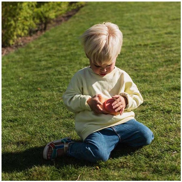 Appareil photo numérique Urban Zoo - Renard