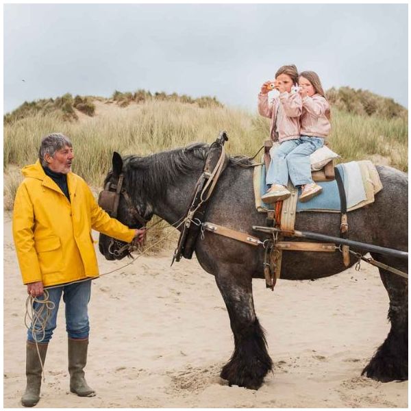 Appareil photo numérique Zoo Friends - Licorne