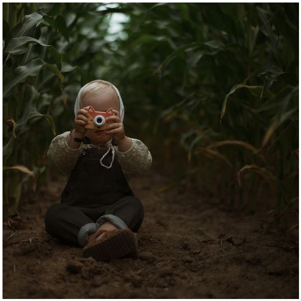 Appareil photo numérique Zoo Friends - Renard