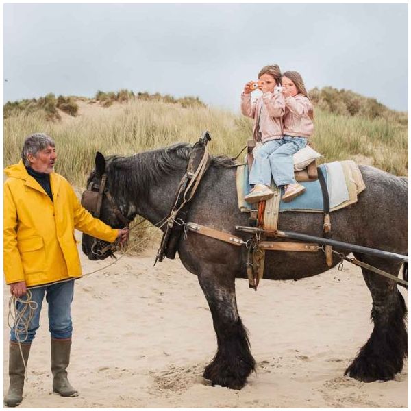 Appareil photo numérique Zoo Friends - Renard